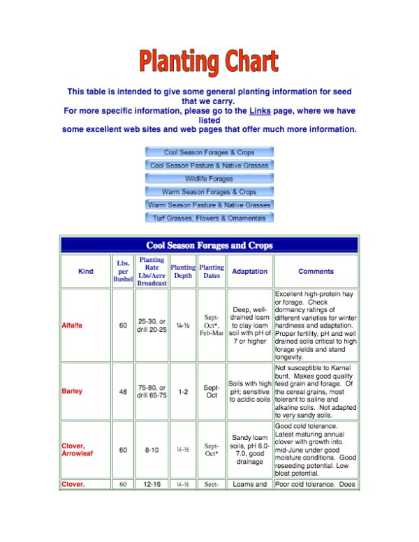 sorghum-information-scott-seed