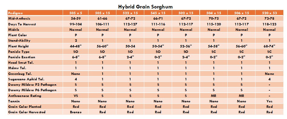 Sorghum-Sudangrass varieties chart
