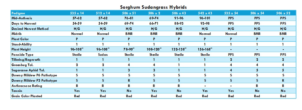 Sorghum-Sudangrass varieties chart